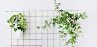 15 idées astucieuses et pas chères pour créer un potager d’intérieur : DIY-potager-dinterieur-15-idees-astucieuses-et-pas-cheres-a-copier-pour-creer-un-mini-potager-chez-soi-