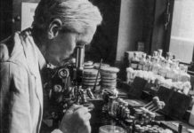 Comment le manque d’hygiène à permit la découverte de la pénicilline Decouverte-de-la-penicilline-les-bons-cotes-de-la-salete-