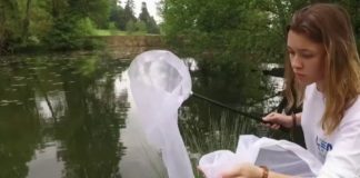 L’avenir est aux emplois verts Emploi-Lavenir-est-aux-emplois-verts-