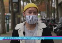 Réduit-on les forêts pour fabriquer du papier ? Est-ce-quon-reduit-les-forets-pour-fabriquer-le-papier-La-Minute-Info