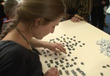 Experts en puzzle Experts-en-puzzle