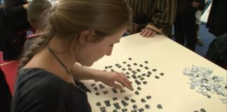 Experts en puzzle Experts-en-puzzle