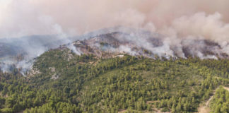 Vagues de chaleur : faut-il leurs donner un nom pour mieux les appréhender ? Faut-il-nommer-les-vagues-de-chaleur-pour-mieux-les-apprehender