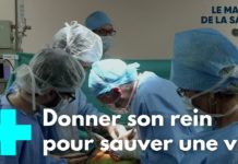 Greffe : donner un rein à un proche Greffe-donner-un-rein-a-un-proche-