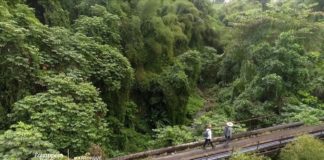 Une terre de randonnée: la Martinique La-Martinique-terre-de-randonnee-