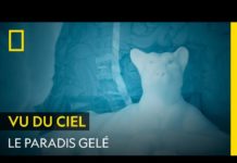 La beauté des hôtels de glace La-beaute-des-hotels-de-glace