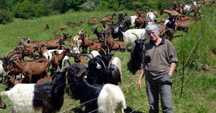 La chèvrerie de Ramaz, une idée de sortie pour déguster des produits bios La-chevrerie-de-Ramaz-une-idee-de-sortie-pour-deguster-des-produits-bios