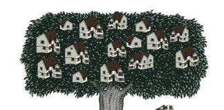 Le ciment et le développement durable La-quete-du-ciment-vert