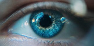 La taille des pupilles pourrait être liée à l'intelligence La-taille-des-pupilles-pourrait-etre-liee-a-l039intelligence