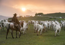 Le Molise, la petite destination italienne qui monte Le-Molise-la-petite-destination-italienne-qui-monte