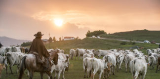 Le Molise, la petite destination italienne qui monte Le-Molise-la-petite-destination-italienne-qui-monte