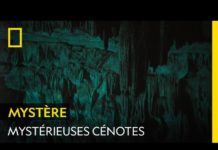 Les cénotes, ces portes qui mènent vers un autre monde Les-cenotes-ces-portes-qui-menent-vers-un-autre-monde