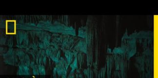 Les cénotes, ces portes qui mènent vers un autre monde Les-cenotes-ces-portes-qui-menent-vers-un-autre-monde