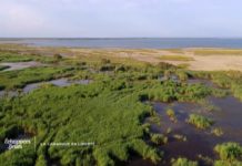 Un trésor à préserver : la Carmargue Les-paysages-camarguais-un-tresor-a-preserver