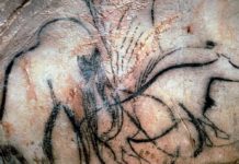 Les trésors scientifiques de la Nouvelle-Aquitaine Les-tresors-scientifiques-de-la-Nouvelle-Aquitaine