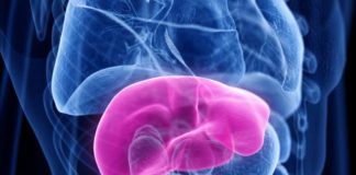 Greffe : prédire le rejet ? Predire-le-rejet-de-greffe-par-le-donneur