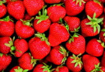 Quelles sont les astuces pour bien conserver les fraises ? Quelles-sont-les-astuces-pour-bien-conserver-les-fraises-