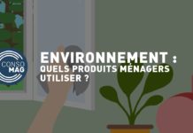 Quels produits ménagers utiliser pour respecter l’environnement ? Quels-produits-menagers-utiliser-pour-respecter-lenvironnement-CO