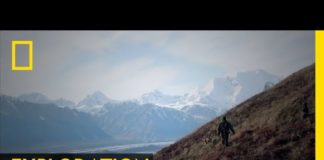 Retour à la vie primitive Retour-a-la-vie-primitive