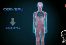 Fibromyalgie : une vraie maladie, bientôt reconnue ! Sante-Fibromyalgie-une-vraie-maladie-bientot-reconnue-