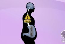 Maigrir scientifiquement Sciences-Maigrir-scientifiquement-20150821