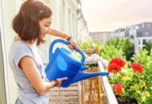 Six conseils pour prendre soin de vos plantes pendant les vacances Six-conseils-pour-prendre-soin-de-vos-plantes-pendant-les-vacances