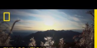 Tout quitter pour aller vivre en Alaska Tout-quitter-pour-aller-vivre-en-Alaska