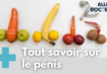 Toutes vos questions sur le pénis ! Toutes-vos-questions-sur-le-penis-Allo-Docteurs