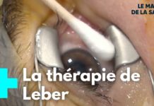 Une thérapie génique pour retrouver la vue Une-therapie-genique-pour-retrouver-la-vue-