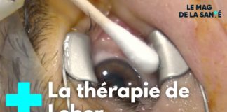 Une thérapie génique pour retrouver la vue Une-therapie-genique-pour-retrouver-la-vue-