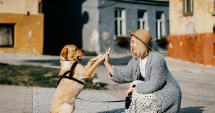 Vous pouvez désormais "matcher" avec des animaux sur Tinder Vous-pouvez-desormais-quotmatcherquot-avec-des-animaux-sur-Tinder