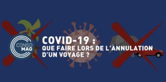 Voyages : que faire lors de l’annulation par un professionnel à cause de la Covid-19 ? Voyages-que-faire-lors-de-lannulation-par-un-professionnel-a-cause-de-la-Covid-19-