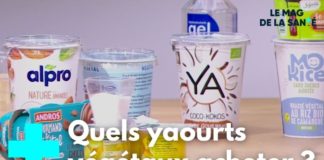 Comment choisir ses yaourts végétaux ? Yaourts-vegetaux-comment-faire-le-bon-choix-