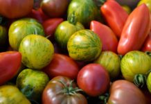 Si on supprimait les labels mensongers de l’alimentation bio ? Alimentation-bio-et-si-on-supprimait-les-labels-fumeux-