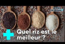 Comment bien choisir son riz Bien-choisir-son-riz-