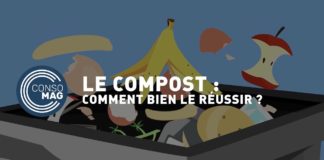 Compost, comment le réussir ? Comment-bien-reussir-son-compost-