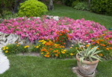 Massif végétal : comment le composer parfaitement ? Comment-composer-un-massif-a-la-perfection