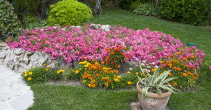 Massif végétal : comment le composer parfaitement ? Comment-composer-un-massif-a-la-perfection