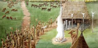 Système humanitaire : comment l’invention de l’agriculture l’a fait évoluer Comment-l039invention-de-l039agriculture-a-change-notre-systeme-immunitaire