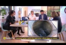 Mauvaises odeurs dans la maison : comment s’en débarasser ? Comment-lutter-contre-les-mauvaises-odeurs-dans-la-maison-