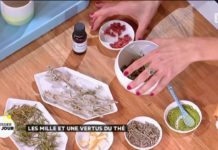 Thé, ses mille et une vertus Dossier-du-Jour-Les-mille-et-une-vertus-du-the