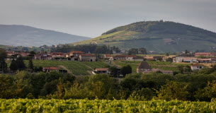 Route des vins : la meilleure pour faire le Beaujolais La-meilleure-facon-de-faire-la-route-des-vins-du-Beaujolais