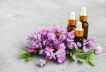 Parkinson : un futur médicament nommé farnésol ? Le-farnesol-futur-medicament-contre-Parkinson-