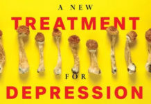 Lutte contre la dépression : les champignons hallucinogènes plus forts que le Prozac ? Les-champignons-hallucinogenes-plus-forts-que-le-Prozac-contre-la-depression