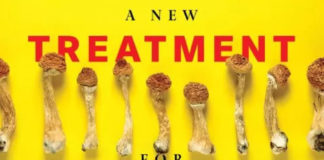 Lutte contre la dépression : les champignons hallucinogènes plus forts que le Prozac ? Les-champignons-hallucinogenes-plus-forts-que-le-Prozac-contre-la-depression