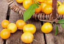 Recettes de Mirabelles : tarte meringuée et crumble Mirabelles-de-la-tarte-meringuee-au-crumble