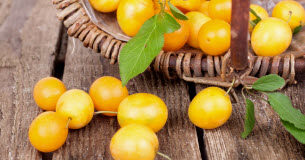 Recettes de Mirabelles : tarte meringuée et crumble Mirabelles-de-la-tarte-meringuee-au-crumble