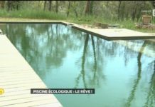 Le rêve de la piscine écologique Piscine-ecologique-le-reve-