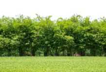 Tout sur l’imposition et l’exonération de la plus-value d’un terrain Plus-value-sur-un-terrain-imposition-et-exoneration