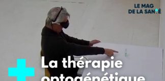 Des algues pour recouvrer la vue Recouvrer-la-vue-grace-a-des-algues-